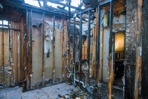 Professional Fire Damage Removal technician working in Rincon Valley, AZ